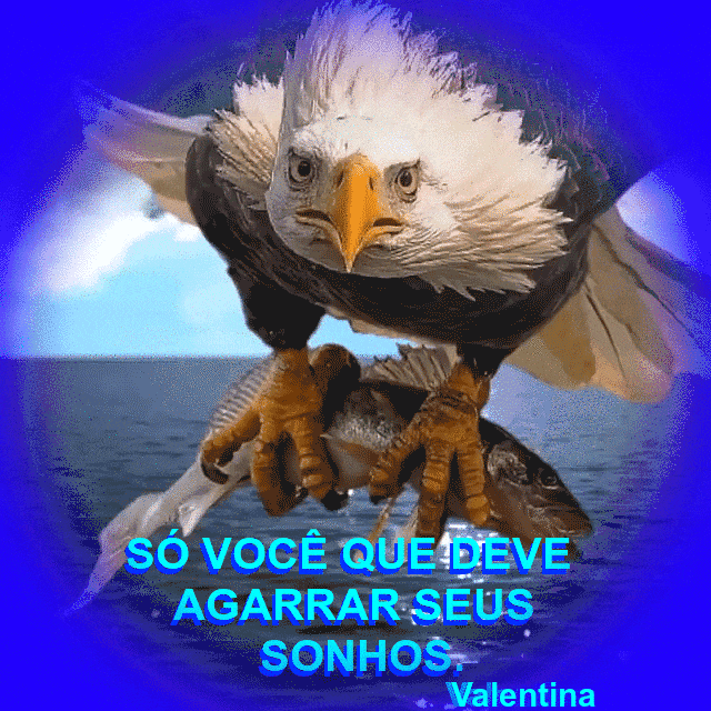 LsqQTf9SUD2S.gif