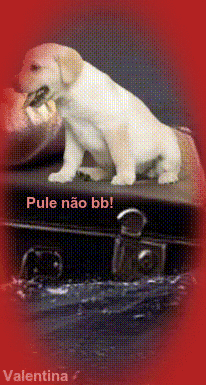 T9W4cAOKwpkO.gif