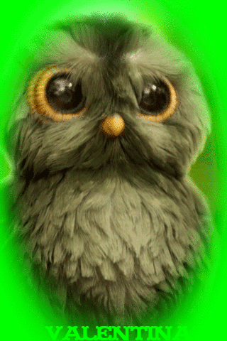 oISTldWbkXq6.gif