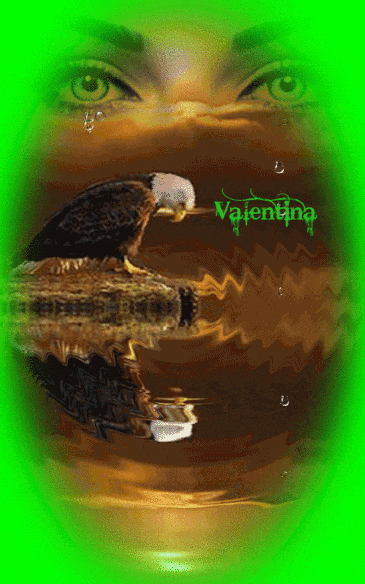Q7A9oHfEmihw.gif