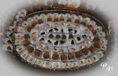 lOSUzvZeJEQ4.gif