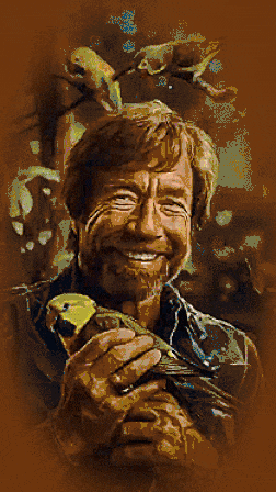 2713225x30P2piY.gif