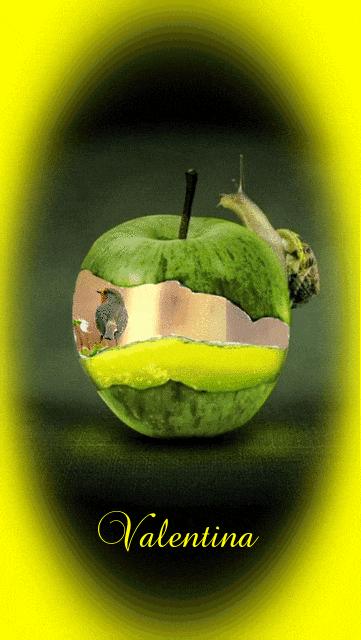 LwMdqHp9mLNa.gif