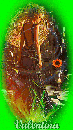 qNc3W2ftxJmw.gif
