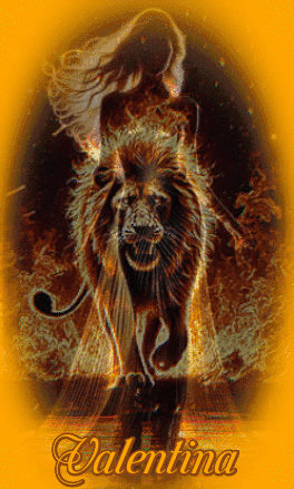sPylx96j0Sh3.gif