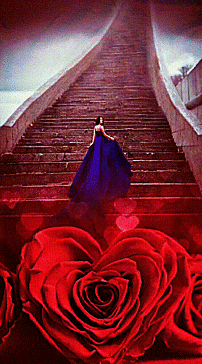 insta.gif