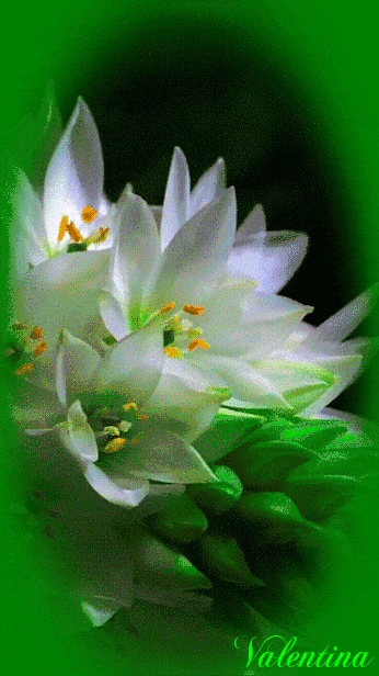 IcBMKfiLg9Ji.gif