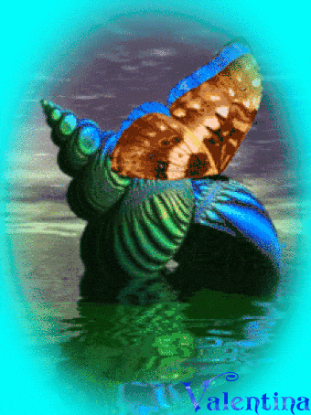 VJntOqPH7PyN.gif
