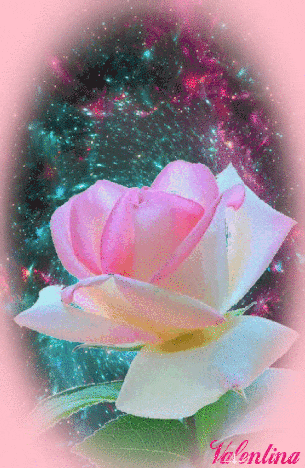 tPnoW6nT9nYt.gif
