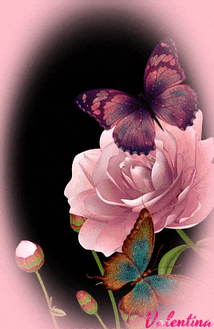 vH0a7uME5RKr.gif