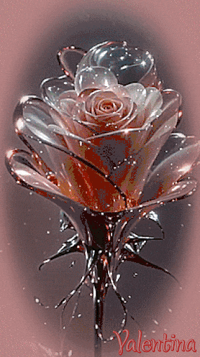 C8eT7Ypio71B.gif