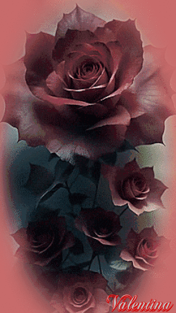 kCN70UaPyWJr.gif