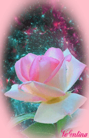 tPnoW6nT9nYt.gif