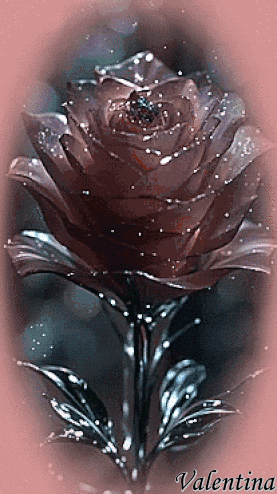 vfQHCeXwW1mZ.gif