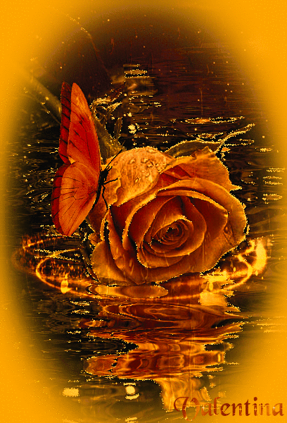 4gM3WuE6ocr4.gif