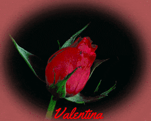 Uev7HNenM9l3.gif