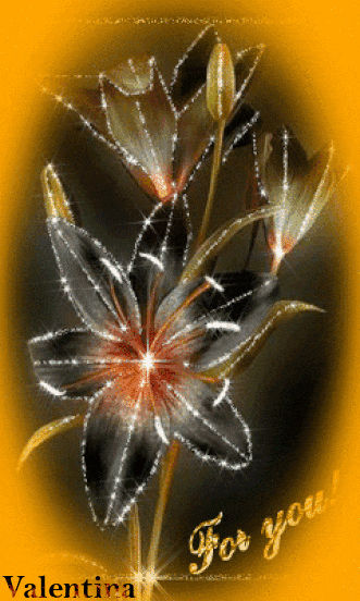 Ww4BoSm8f2QT.gif