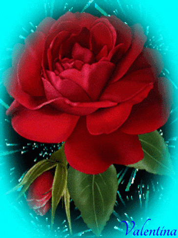 rQnf1pNm7nRw.gif