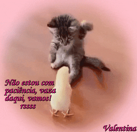 As2MoyrAMUZY.gif