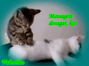 NkxqIdHr9F1Z.gif