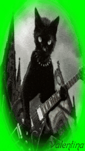 rcQG1KEniSdI.gif