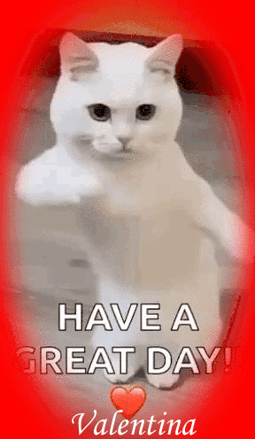5otrB5peNgsO.gif