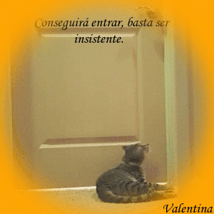 9T3qZ4KQLByD.gif
