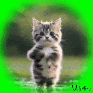 DeEfpsdY7.gif