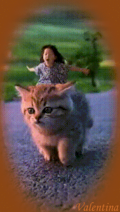 wzVRqPR06XxO.gif