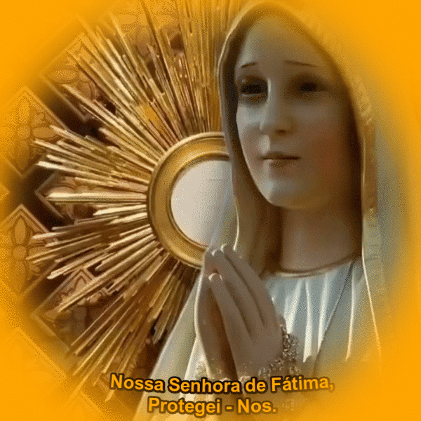 gZBNQ9hvxJf3.gif