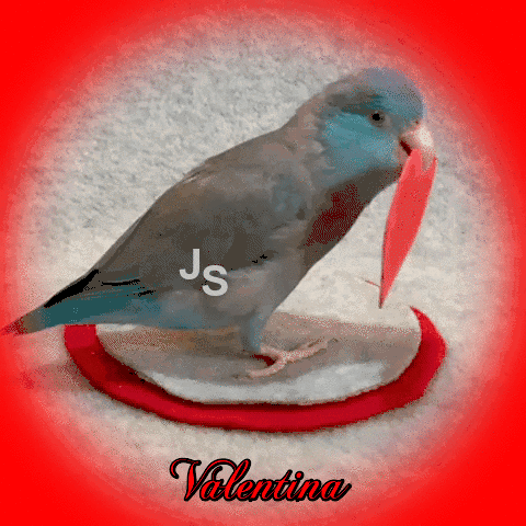 lEm5jK7vUJ5J.gif