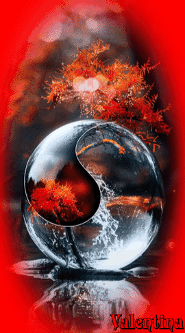 BGTHoOkppnh8.gif