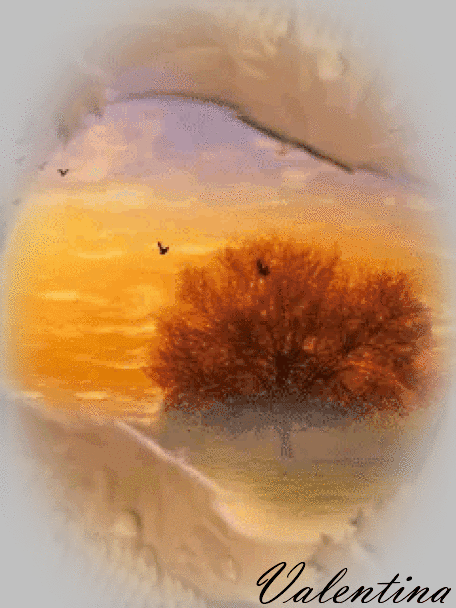 ZfqcRlwqZ5Vb.gif