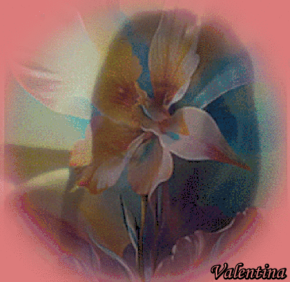 xyt6qLuTYLBX.gif