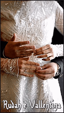 11.gif