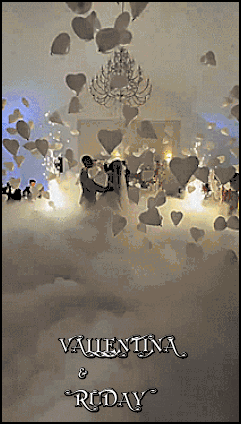 23.gif